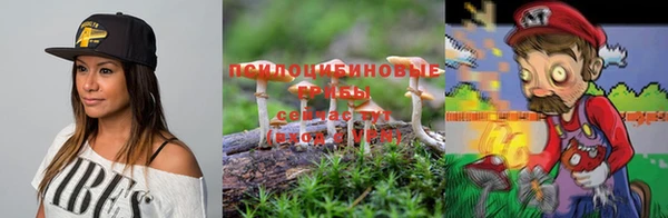 стаф Белокуриха
