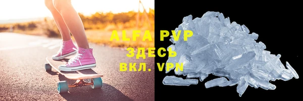 стаф Белокуриха